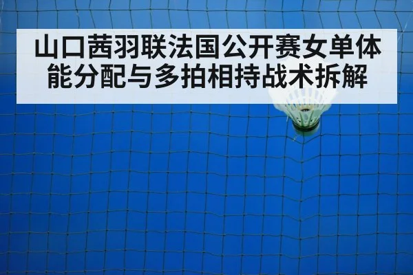 badminton shuttlecock on court
